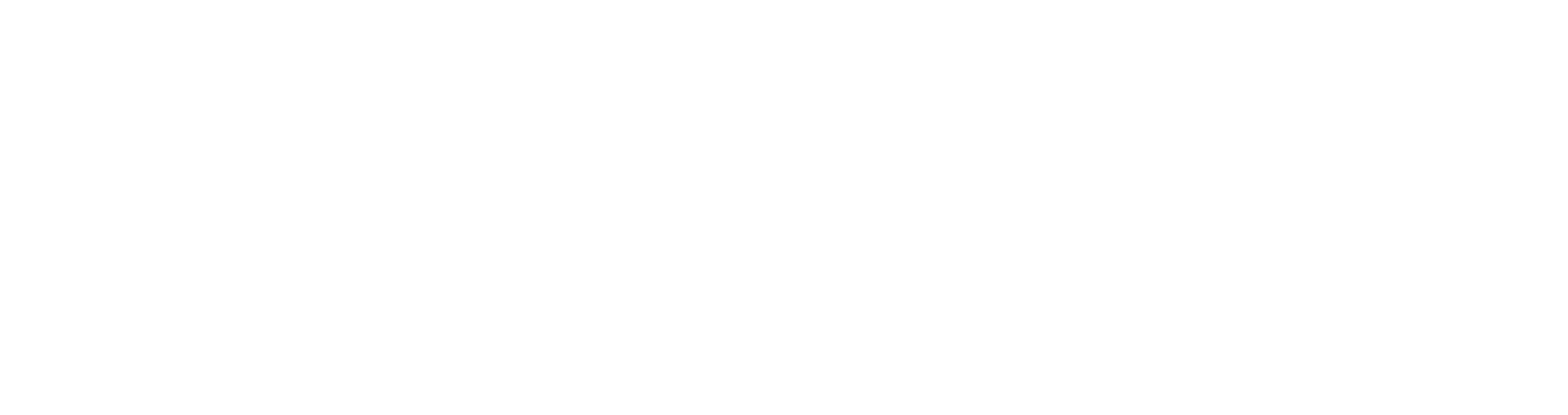 Seagull Electronics Logo
